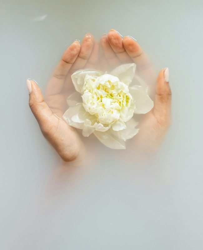 Unrecognizable female with soft manicured hands holding white flower with delicate petals in hands during spa procedures